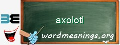 WordMeaning blackboard for axolotl